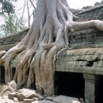 Ta Prohm 021